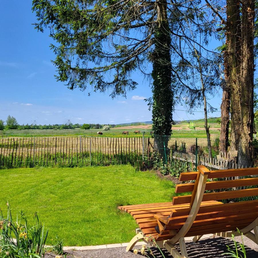 Komfort Ferienwohnungen Mit Wellness-Garten - Gaestehaus Am Bachlauf - Losheim Am See Экстерьер фото