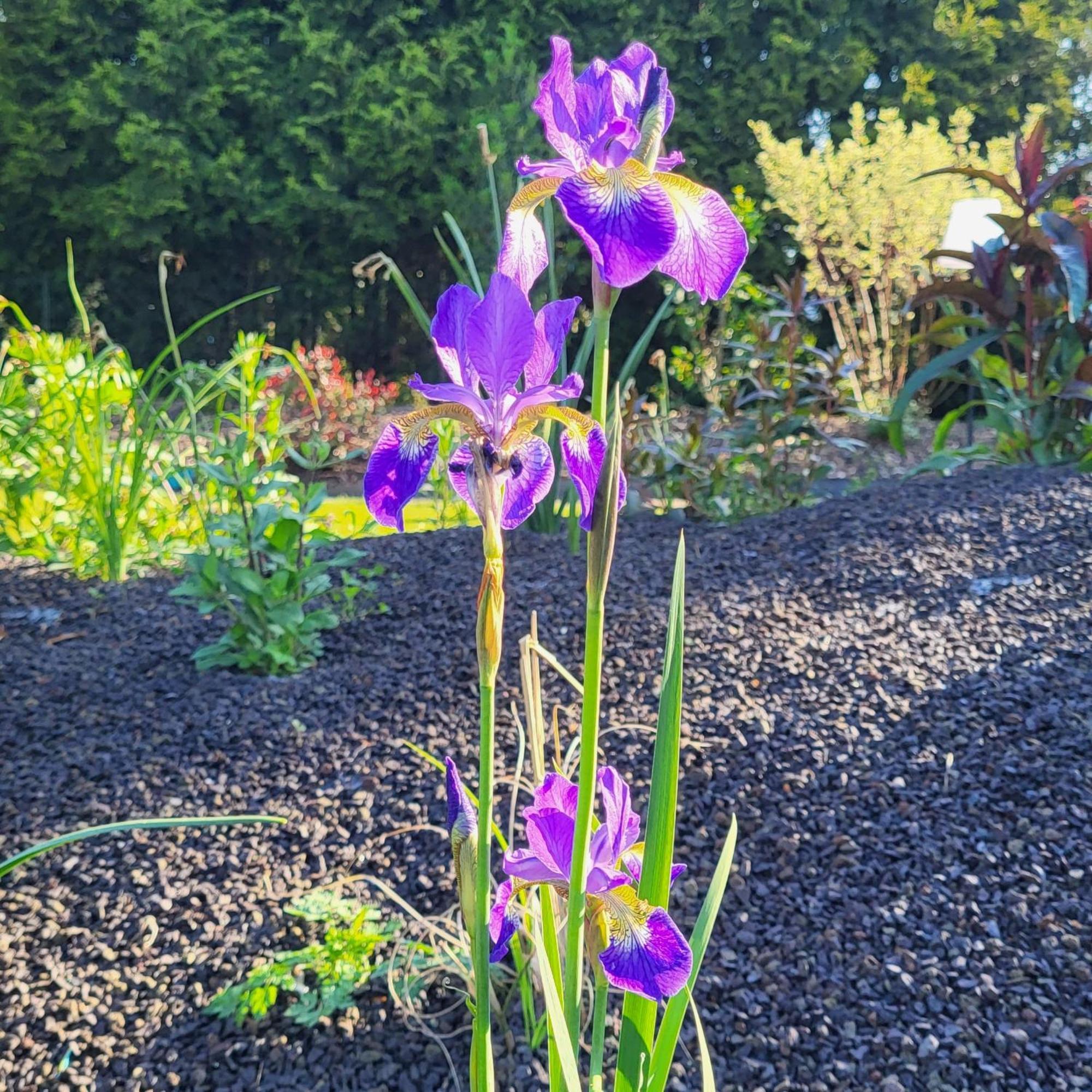 Komfort Ferienwohnungen Mit Wellness-Garten - Gaestehaus Am Bachlauf - Losheim Am See Номер фото