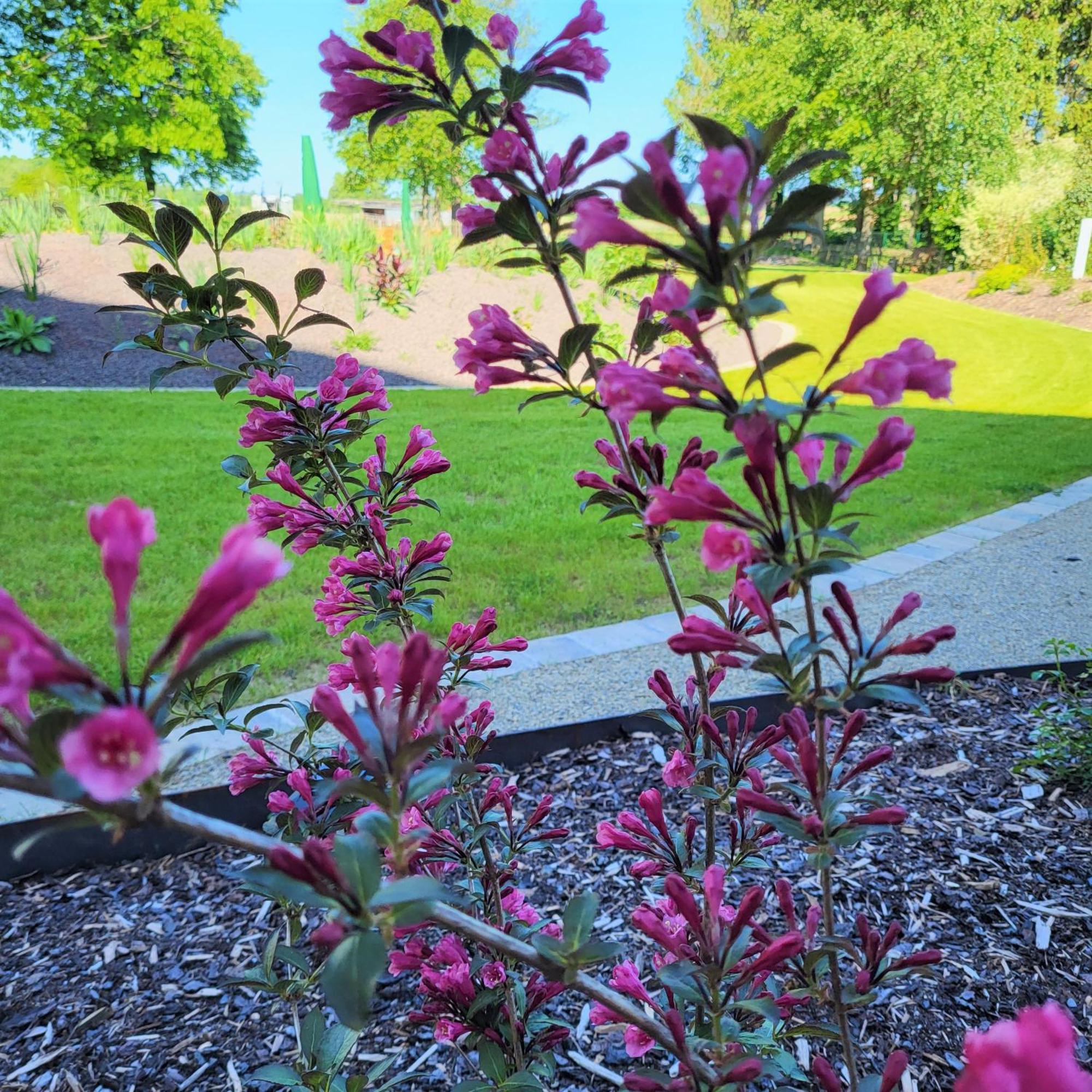 Komfort Ferienwohnungen Mit Wellness-Garten - Gaestehaus Am Bachlauf - Losheim Am See Номер фото
